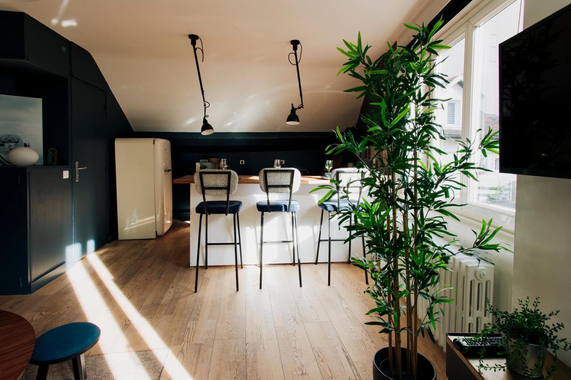 Loge Du Pre Carre - Hypercentre Apartment Annecy Exterior photo